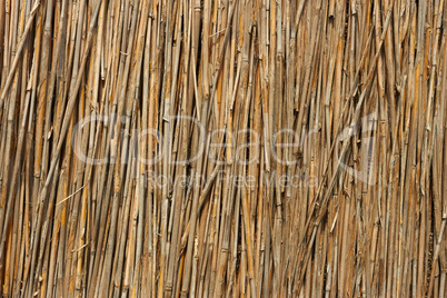 Fragment of reed fence