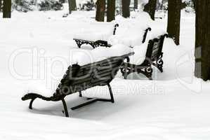 Bench at snow