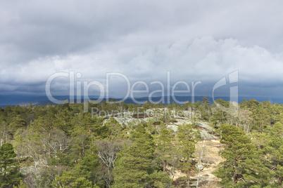 view over forest with cloudy sky