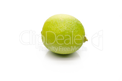 Juicy lime on a white background