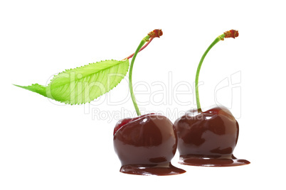 Cherries in chocolate on a white background