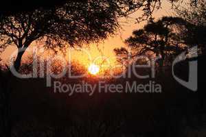 Bushveld Sunset