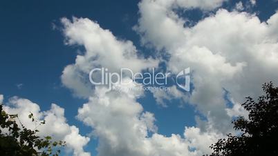 tree tops and clouds