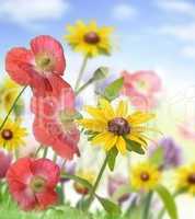 Flowers