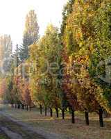 autumn_2