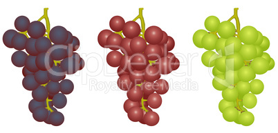 Grapes of different grades