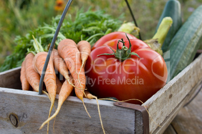 vegetables