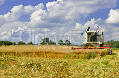 Combine harvester