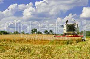 Combine harvester