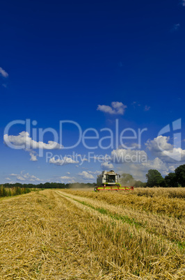 Combine harvester