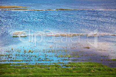 wadden sea