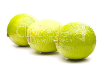 Juicy lime on a white background