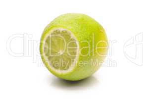 Juicy lime on a white background