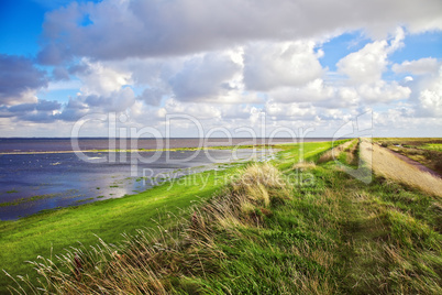 wadden sea