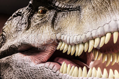 Tyrannosaurus showing his toothy mouth