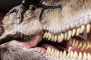 Tyrannosaurus showing his toothy mouth