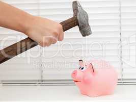 hand  about to break his piggy bank with hammer