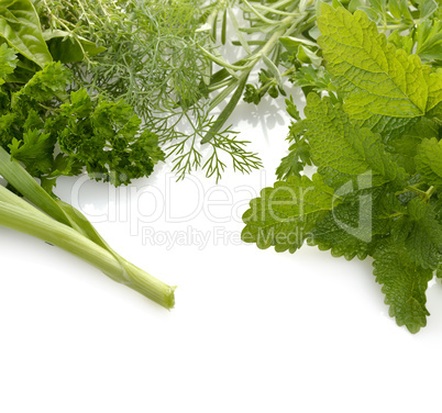 Fresh Herbs