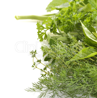 Fresh Herbs