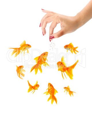 Woman feeding goldfishes