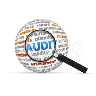 Audit