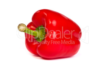 A red bell sweet pepper isolated on white