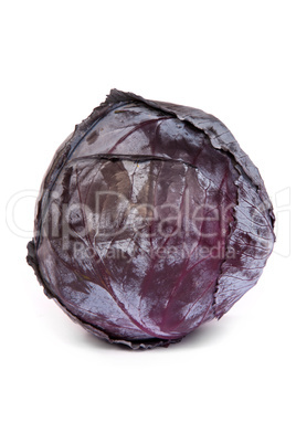 Red cabbage on white background.