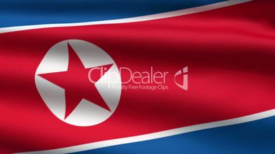 the North Korean flag