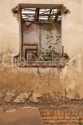 Ein Fenster in einer alten verfallenen Mauer