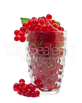 Red currants on a white background.