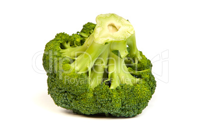 Single broccoli floret isolated on white