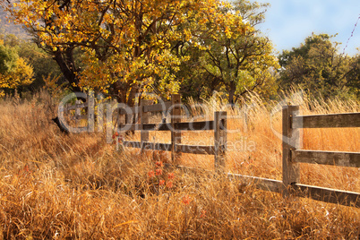 Old Wooden Farm Fence
