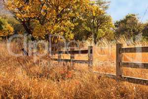 Old Wooden Farm Fence