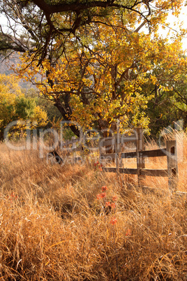 Old Wooden Farm Fence