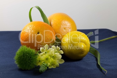 Citrus-Blumenarrangement