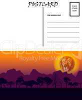 Empty Blank Postcard Template Africa Sunset Motif