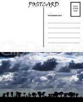Empty Blank Postcard Template Africa Cloudy Sky Image