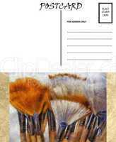 Empty Blank Postcard Template Artist Brushes Image