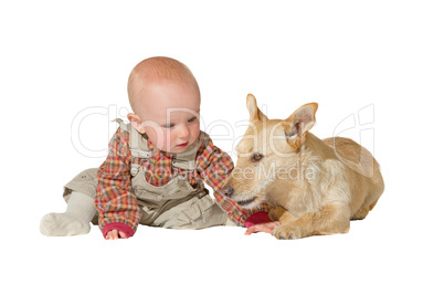 Jack russel terrier and baby