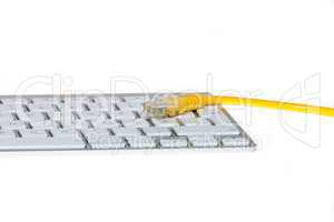 Netzwerkkabel auf Tastatur