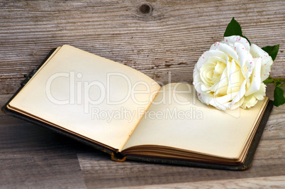 Buch und Rose auf altem Holz Hintergrund