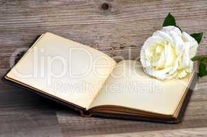 Buch und Rose auf altem Holz Hintergrund