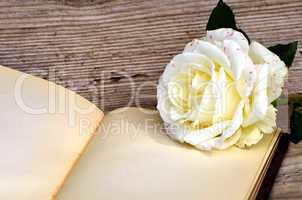 Buch und Rose auf altem Holz Hintergrund