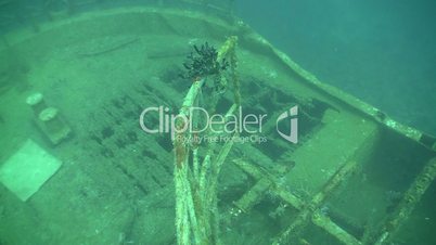 Shipwreck on the Seabed, Red Sea