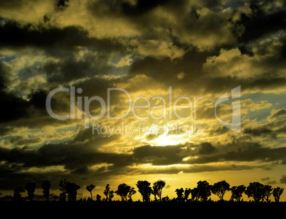 Sunset Sunrise with Nature Silhouette