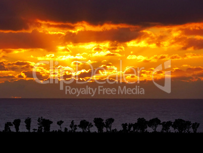 Sea Sunset with Nature Silhouette