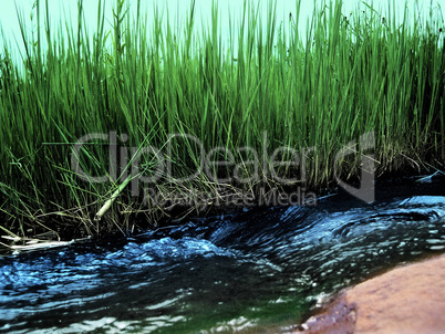 Abstract Running water and grass