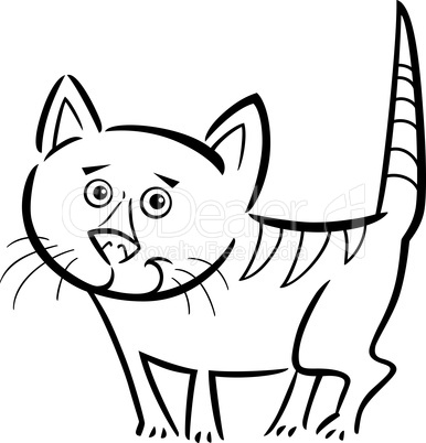 cat or kitten for coloring book