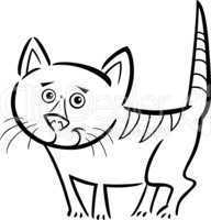 cat or kitten for coloring book