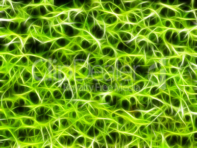 Neon Natural Green Grunge Background
